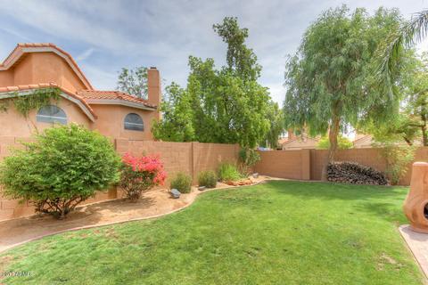 3310 E Nighthawk Way, Phoenix, AZ 85048 photo 39