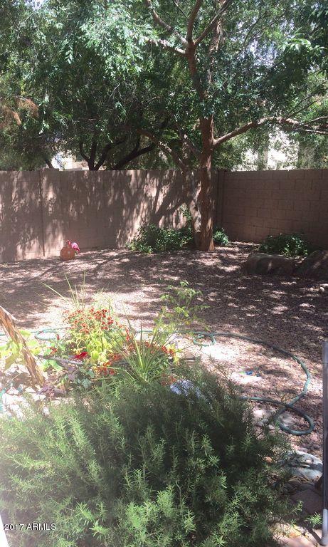 4233 E Graythorn Ave, Phoenix, AZ 85044 photo 38