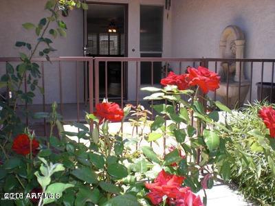 2553 E Hale St, Mesa, AZ 85213 photo 3