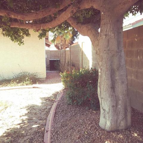 5632 E Fairbrook St, Mesa, AZ 85205 photo 9