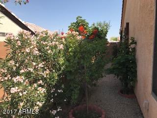 957 W Toltec Dr, Coolidge, AZ 85128 photo 29