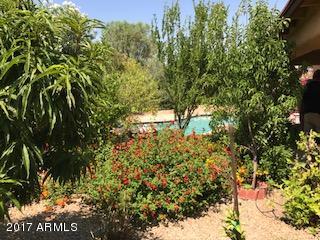 957 W Toltec Dr, Coolidge, AZ 85128 photo 25