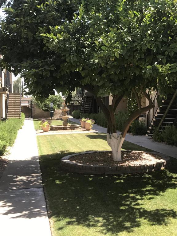 2228 E Campbell Ave #130, Phoenix, AZ 85016 photo 8