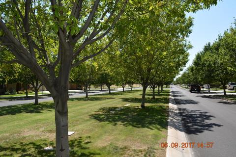 3454 E Morrison Ranch Pkwy, Gilbert, AZ 85296 photo 23