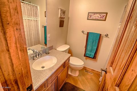 2865 Cedar Cir, Overgaard, AZ 85933 photo 7