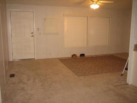 1074 N Gold Dr, Apache Junction, AZ 85120 photo 8