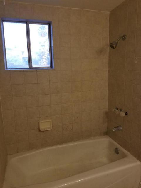 163 S Palo Verde Dr, Apache Junction, AZ 85120 photo 22