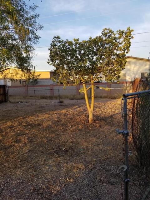 163 S Palo Verde Dr, Apache Junction, AZ 85120 photo 18