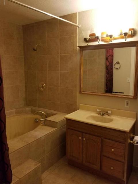 163 S Palo Verde Dr, Apache Junction, AZ 85120 photo 15