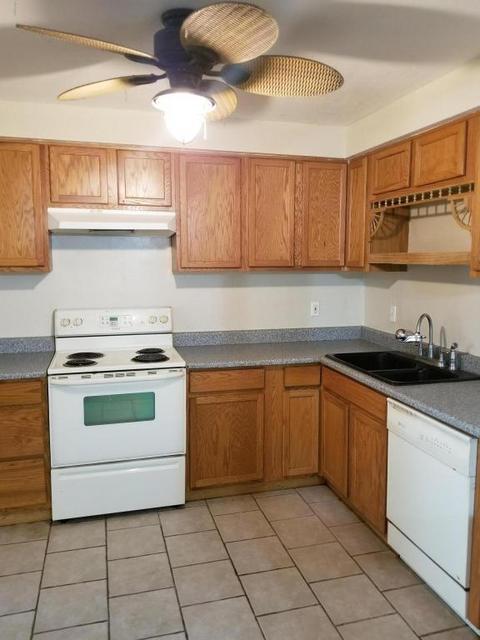 163 S Palo Verde Dr, Apache Junction, AZ 85120 photo 7