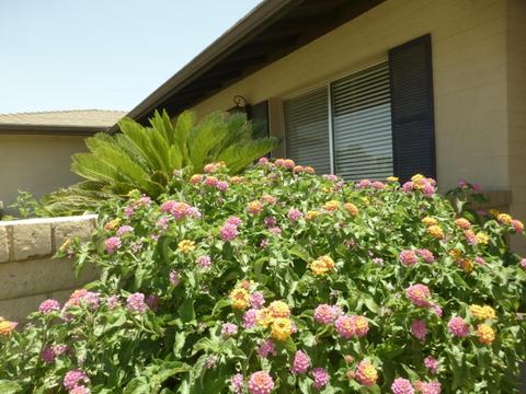 1851 E Yale Dr, Tempe, AZ 85283 photo 21