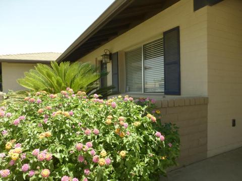 1851 E Yale Dr, Tempe, AZ 85283 photo 6
