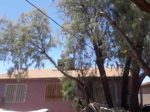 1237 S 13th Ave, Phoenix, AZ 85007 photo 2