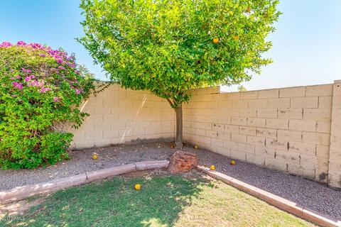 10452 E Azalea Ave, Mesa, AZ 85208 photo 30