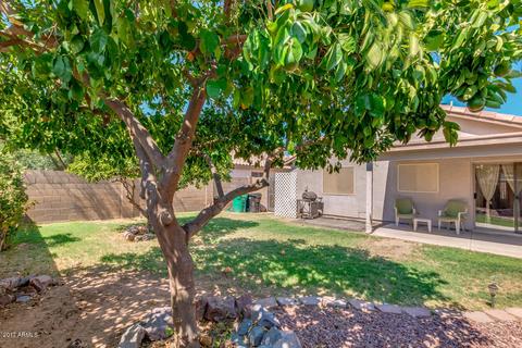638 S 99th St, Mesa, AZ 85208 photo 20