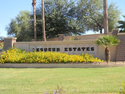 8425 E Milagro Cir, Mesa, AZ 85209 photo 30