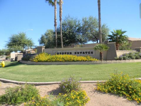 8425 E Milagro Cir, Mesa, AZ 85209 photo 31