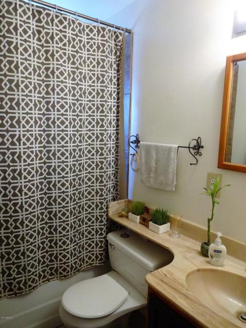 3001 E Flower St, Phoenix, AZ 85016 photo 14