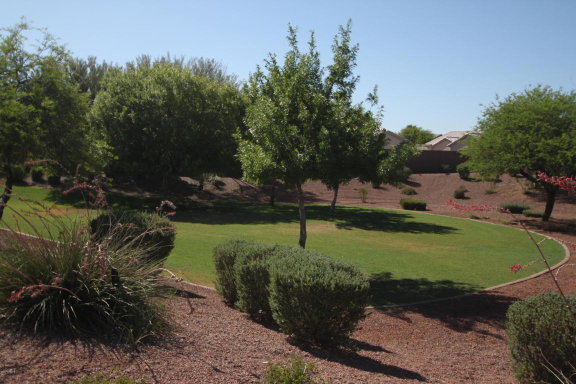 1929 N 103rd Ln, Avondale, AZ 85392 photo 16