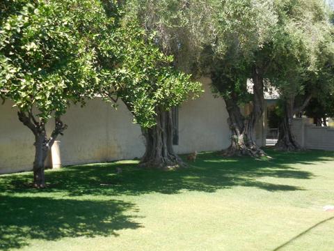 2231 E Catalina Dr, Phoenix, AZ 85016 photo 24
