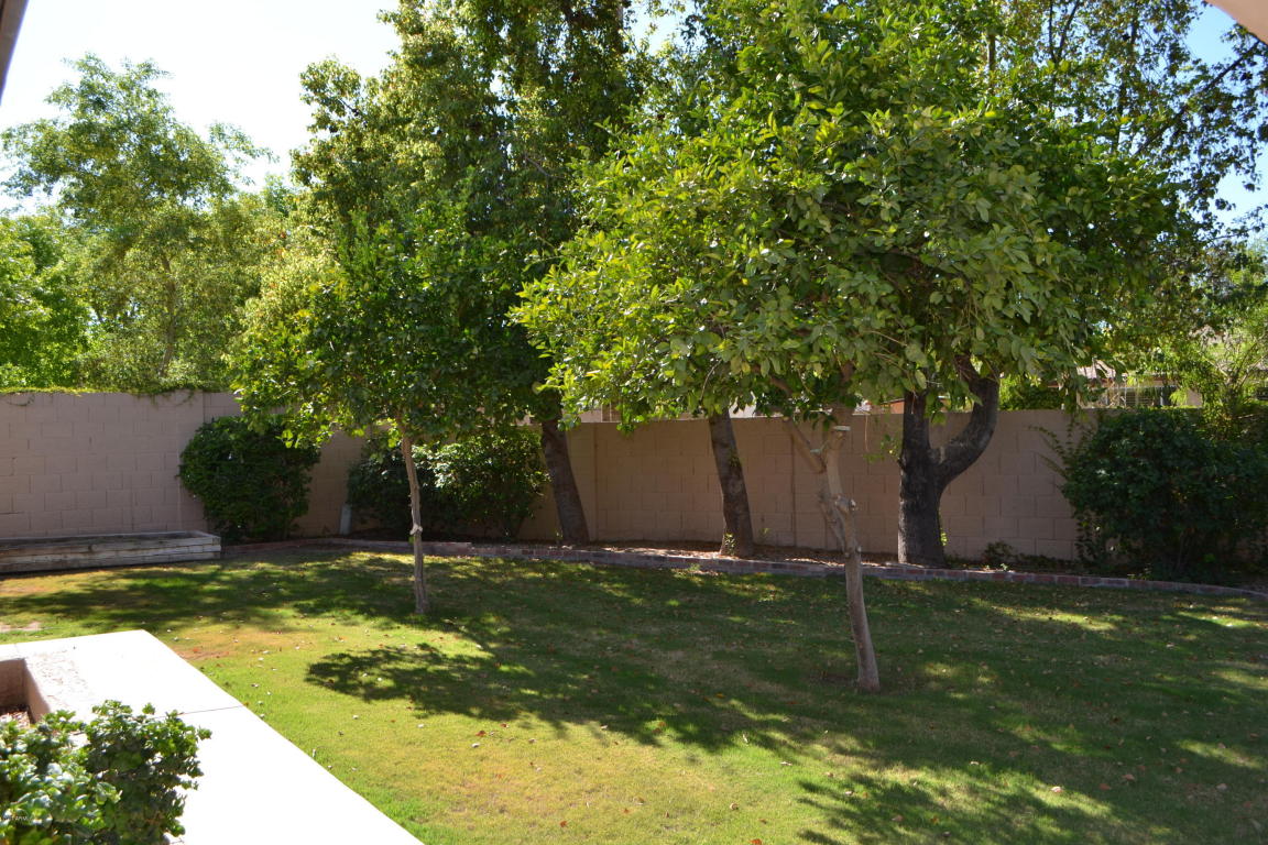 2344 W Monte Ave, Mesa, AZ 85202 photo 30