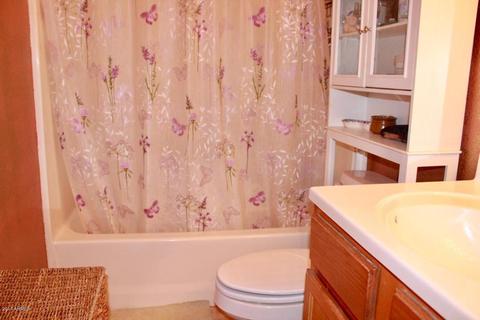 3209 E Nisbet Rd, Phoenix, AZ 85032 photo 14