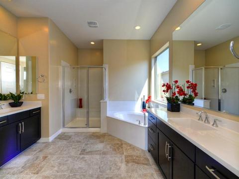 3881 E Mia Ln, Gilbert, AZ 85298 photo 10