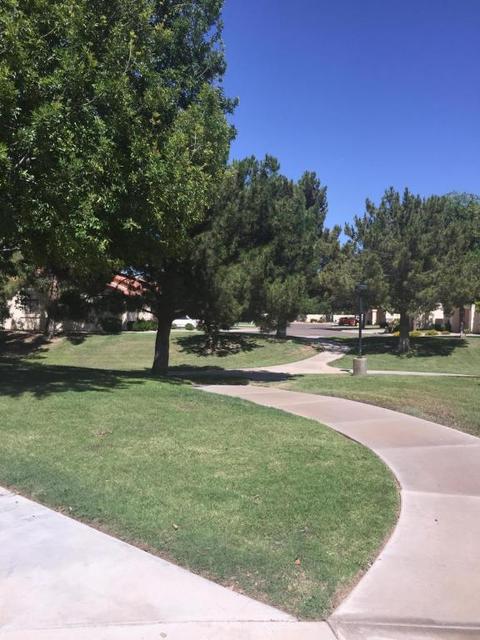 45 E 9th Pl #48, Mesa, AZ 85201 photo 19