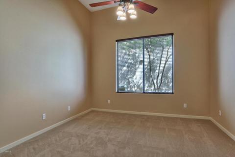 3919 E Daley Ln, Phoenix, AZ 85050 photo 26