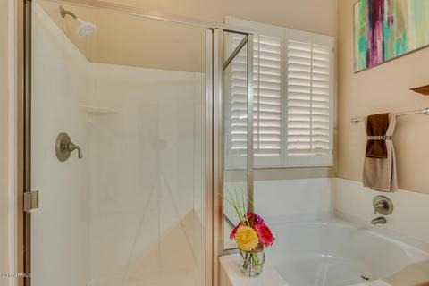 10448 E Medina Ave, Mesa, AZ 85209 photo 20