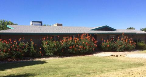 382 E Harrison St, Gilbert, AZ 85295 photo 6