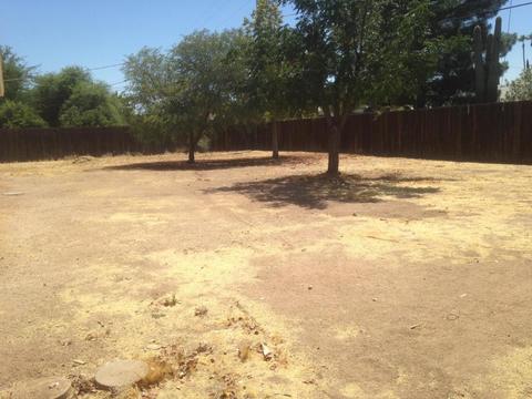 6576 E Delmon Dr, Mesa, AZ 85215 photo 18