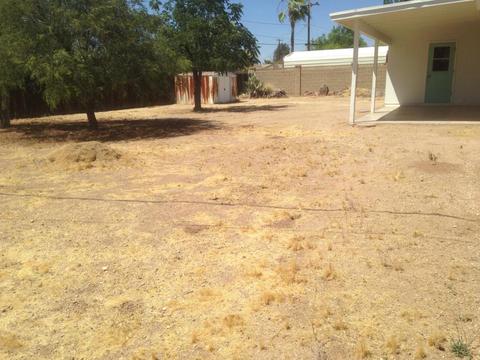 6576 E Delmon Dr, Mesa, AZ 85215 photo 14