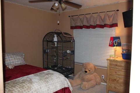 3325 Escuda Rd, Phoenix, AZ 85050 photo 12