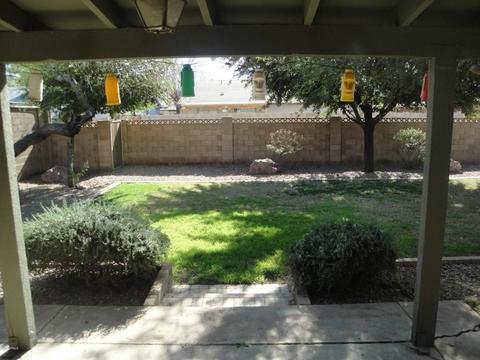 1941 E Harvard Dr, Tempe, AZ 85283 photo 16