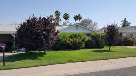 2331 W Freeway Ln, Phoenix, AZ 85021 photo 56