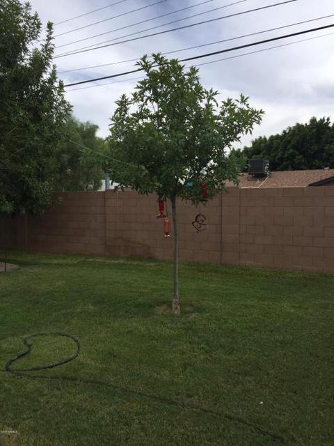 2331 W Freeway Ln, Phoenix, AZ 85021 photo 38