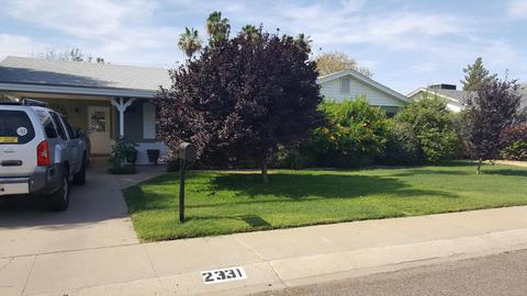 2331 W Freeway Ln, Phoenix, AZ 85021 photo 2