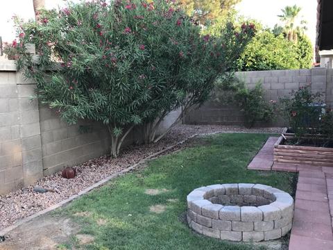 801 S Cancun Dr, Gilbert, AZ 85233 photo 5