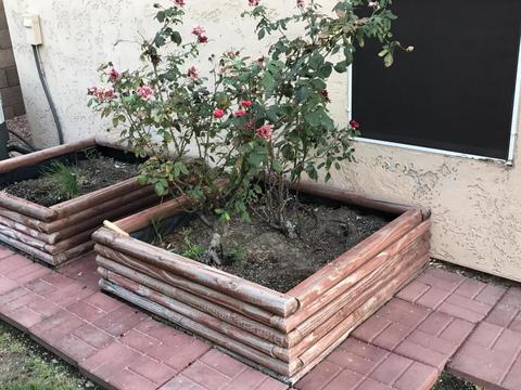 801 S Cancun Dr, Gilbert, AZ 85233 photo 7