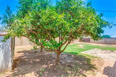 1844 E 6th Ave, Mesa, AZ 85204 photo 29