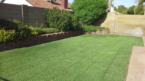 4208 E Janice Way, Phoenix, AZ 85032 photo 29