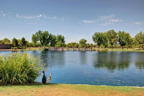 3990 E Los Altos Dr, Gilbert, AZ 85297 photo 60