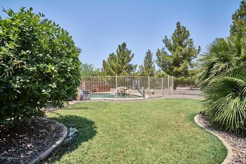 1316 E Macaw Dr, Gilbert, AZ 85297 photo 38