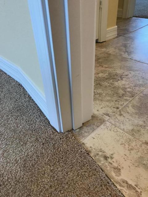 3120 W Wethersfield Rd, Phoenix, AZ 85029 photo 9