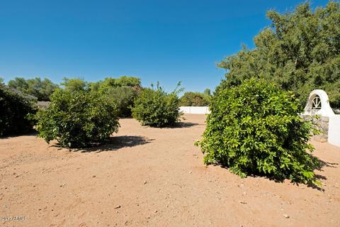 2535 E Cloud Dr, Chandler, AZ 85249 photo 39