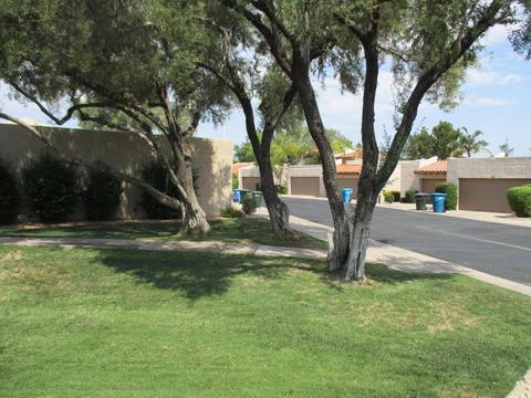 11622 N 40th Way, Phoenix, AZ 85028 photo 19