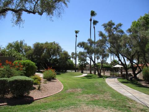 11622 N 40th Way, Phoenix, AZ 85028 photo 20