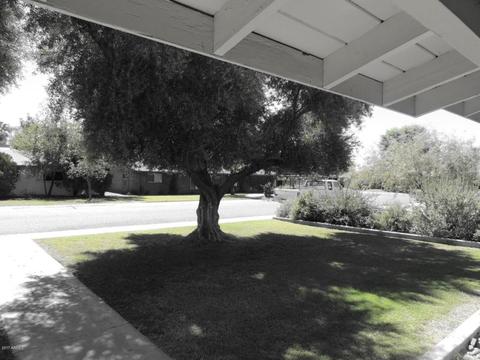1408 E Vermont Ave, Phoenix, AZ 85014 photo 24