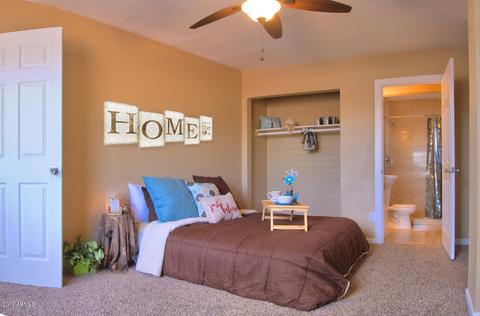3346 E Mckinley St, Phoenix, AZ 85008 photo 5